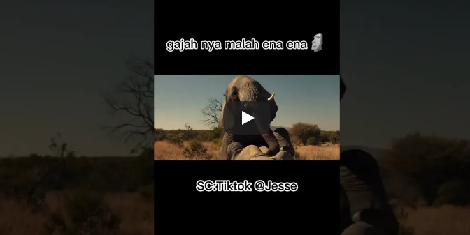 Gajah Viral di Media Sosial tiktok