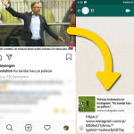 Cara Membagikan Video Dari Instagram Ke Whatsapp