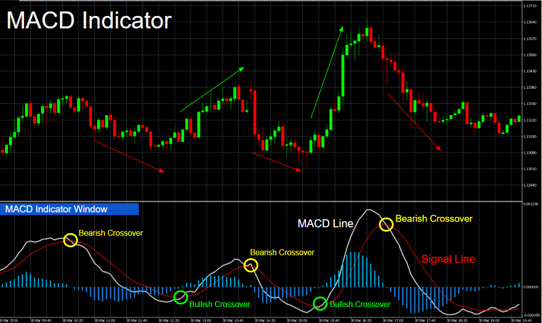 Langkah Melihat Indikator Trading MACD