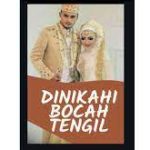 Baca Novel Dinikahi Bocah Tengil PDF Full Episode