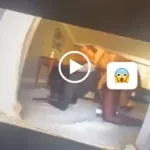La vidéo d'une influenceuse s'accouplant avec un chien a fuité